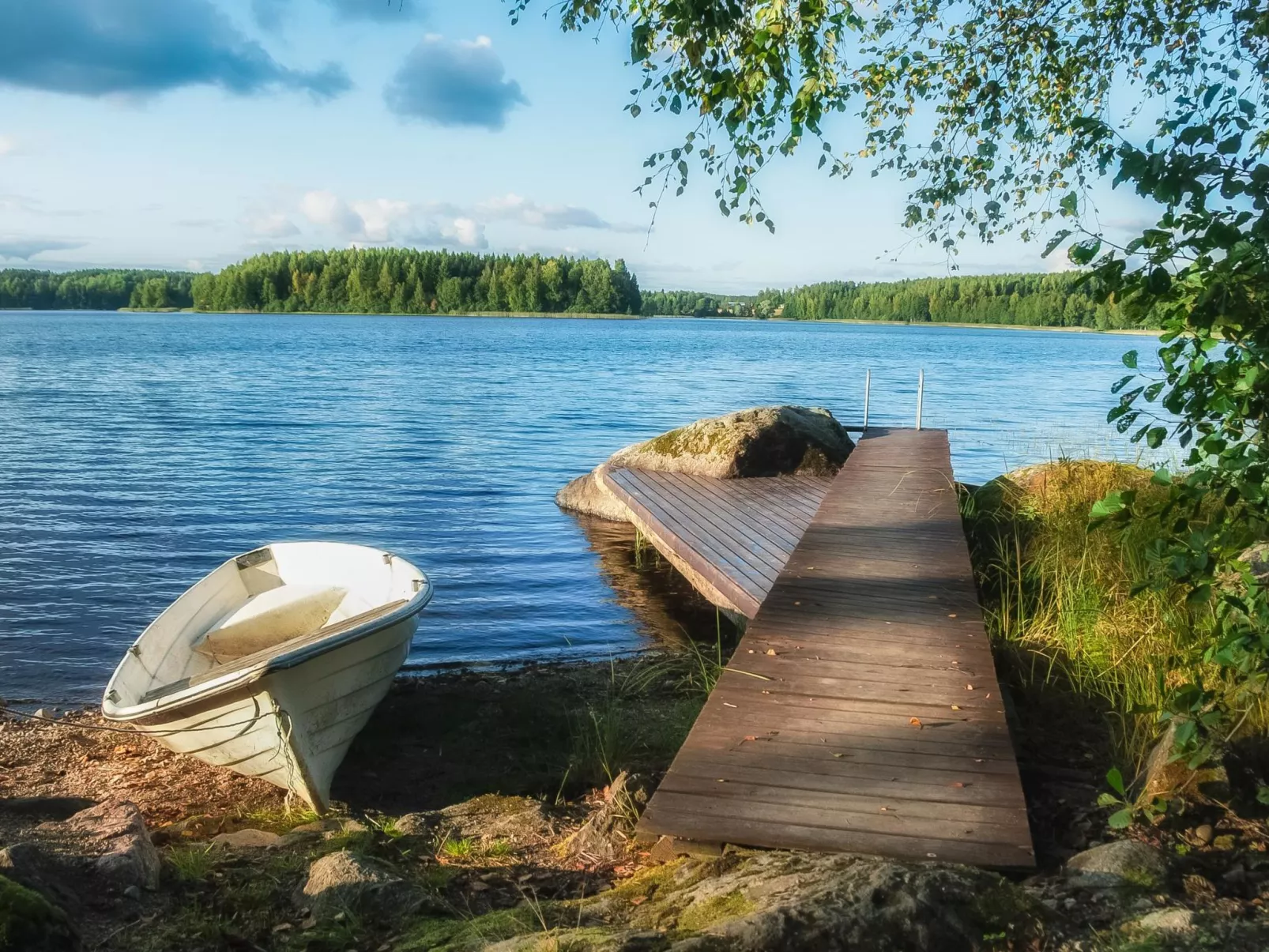 Kalliokoivu