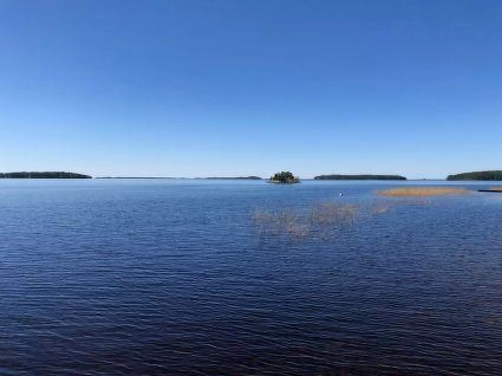 Saunamäki