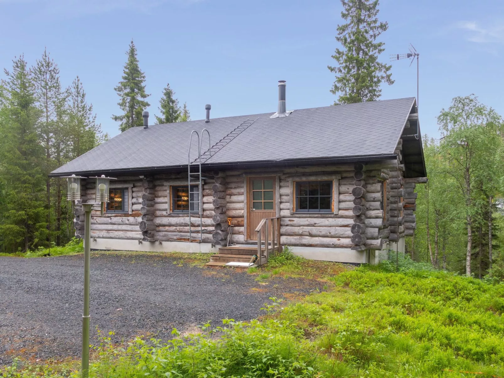 Muuttohaukka