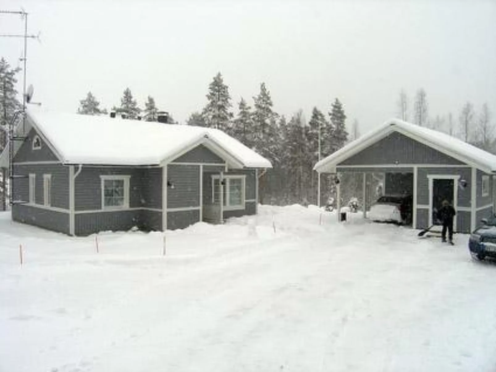 Villa siimestö