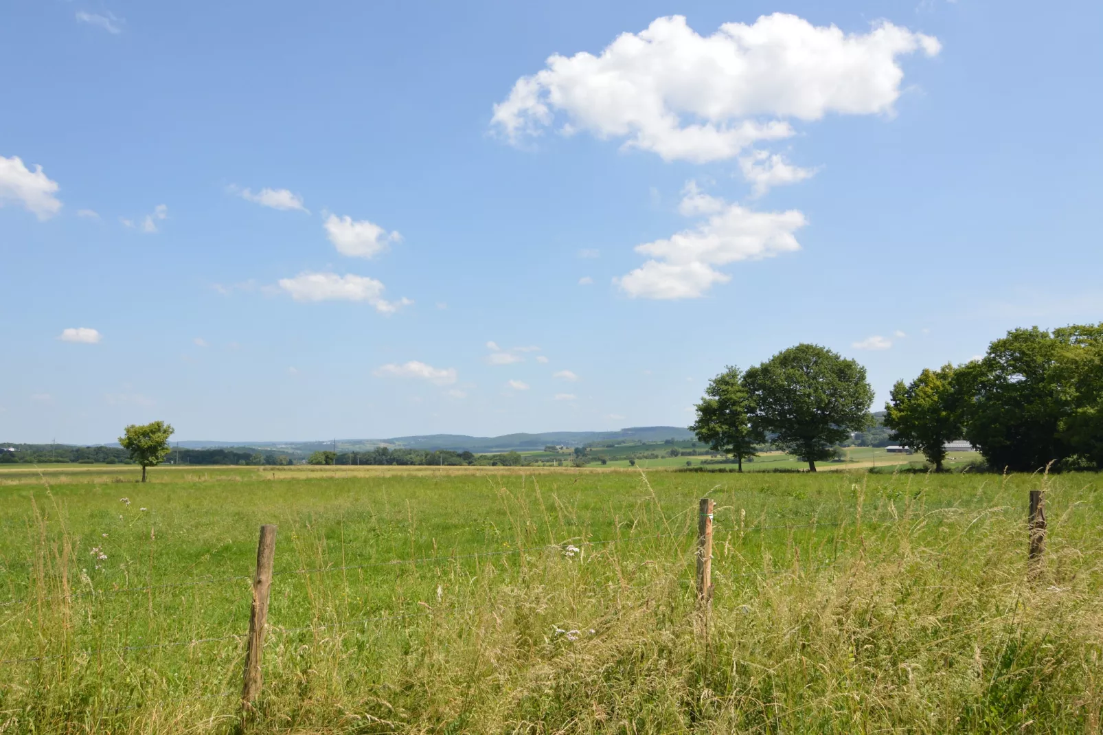 Le Tilleul-Areas summer 20km