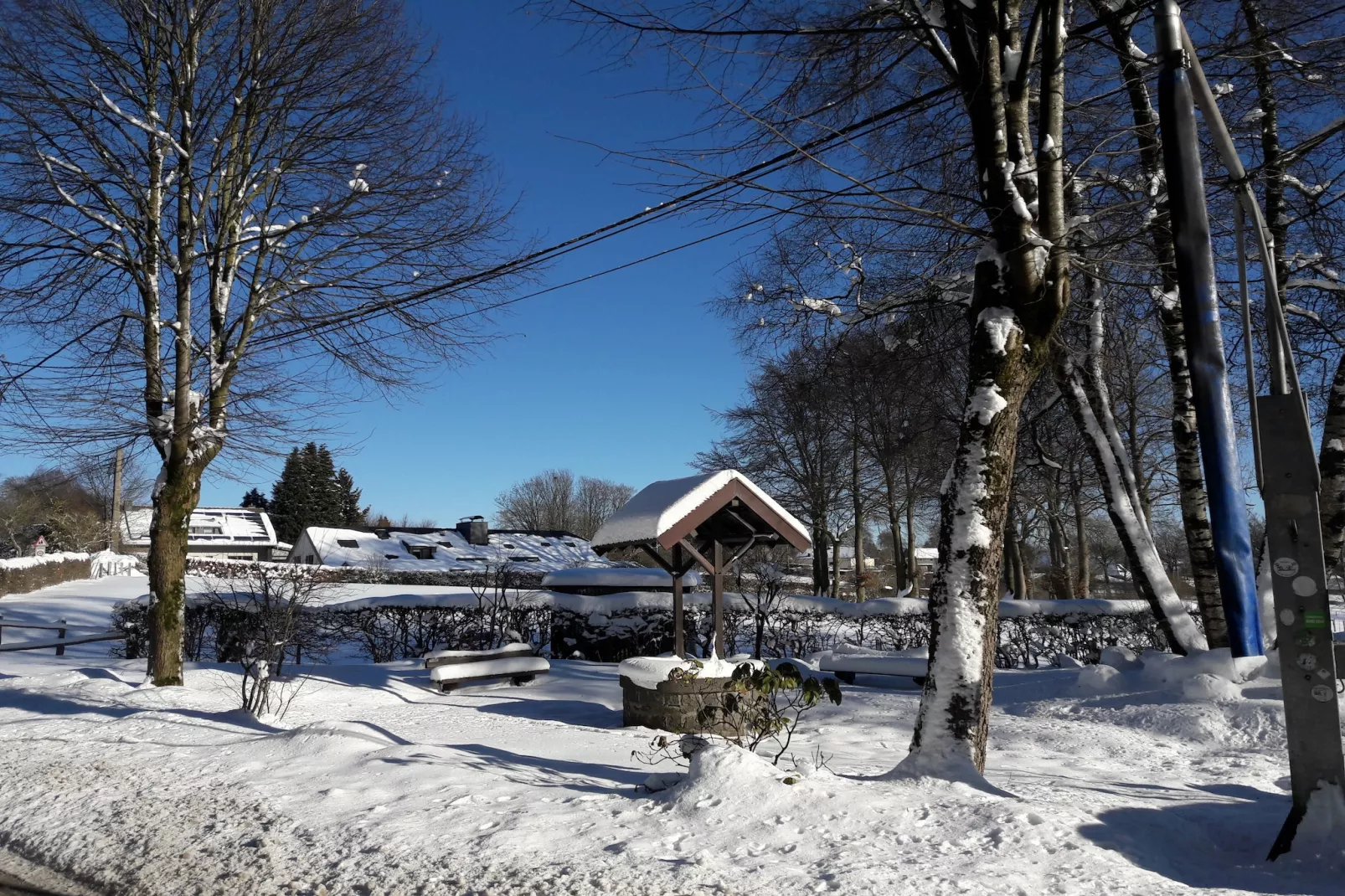 Canneberge-Zone d'hiver à 20 km