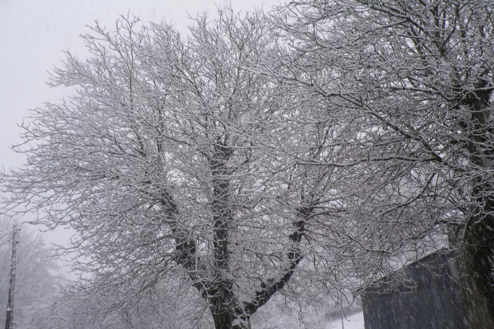 La Bergerie-Jardin en hiver