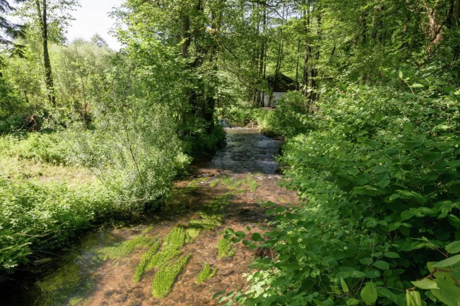 Likthuus 9-Areas summer 20km