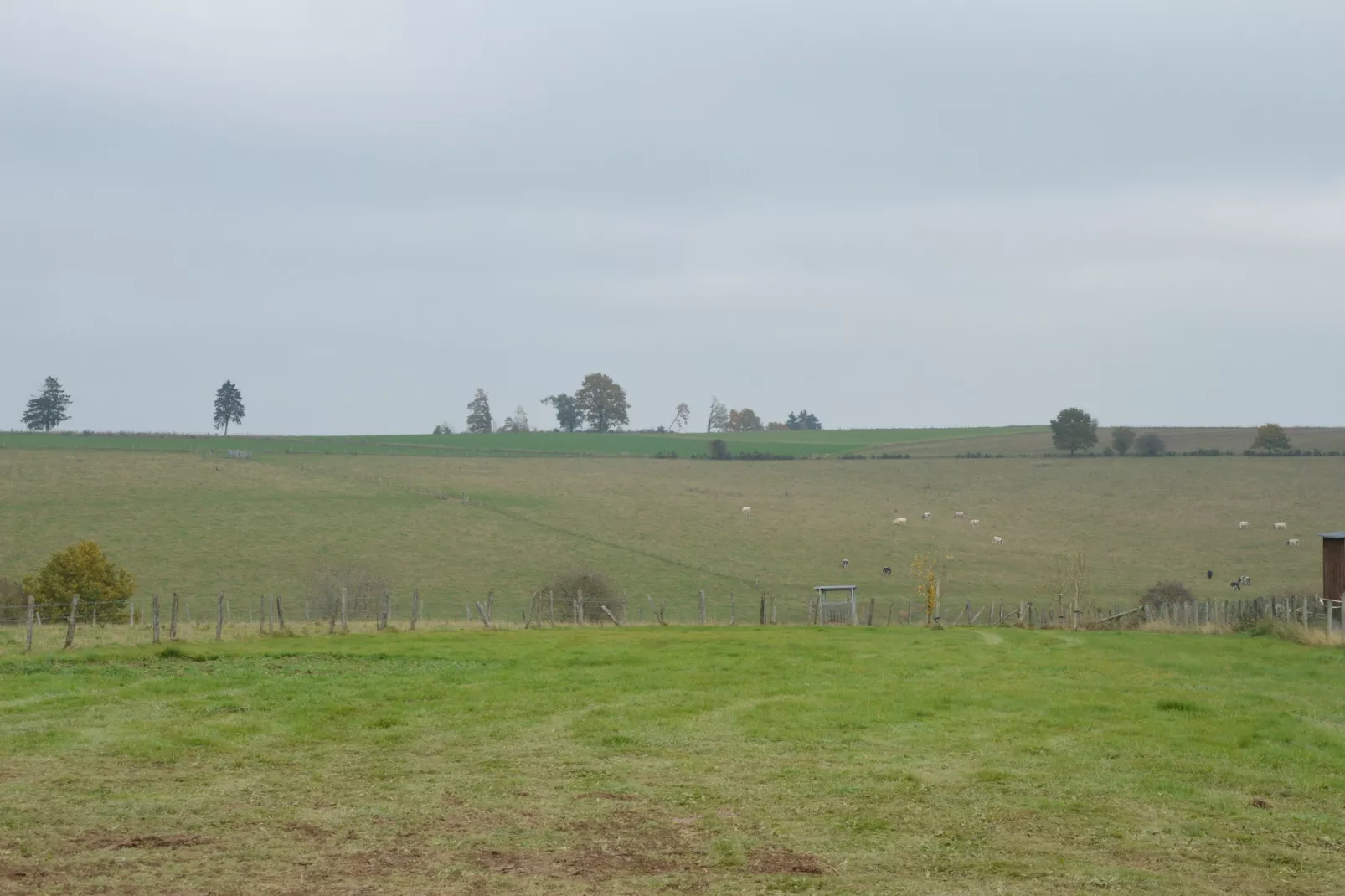 A la Clairette-Vue d'été