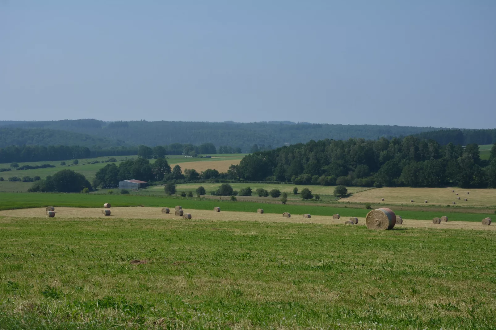Les Boutons d'Or-Gebiete Sommer 20 km