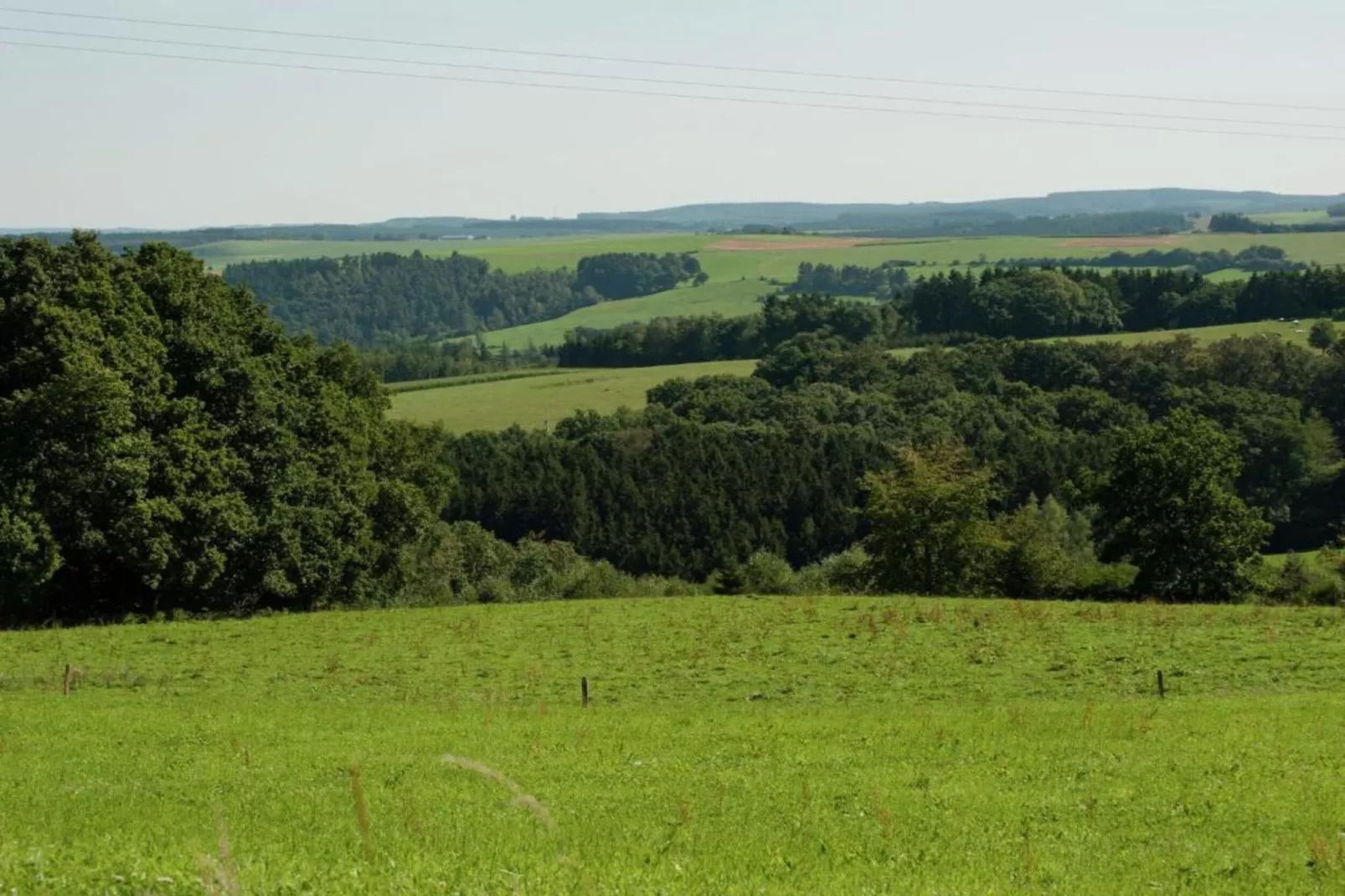 Lesternid-Gebiete Sommer 20 km
