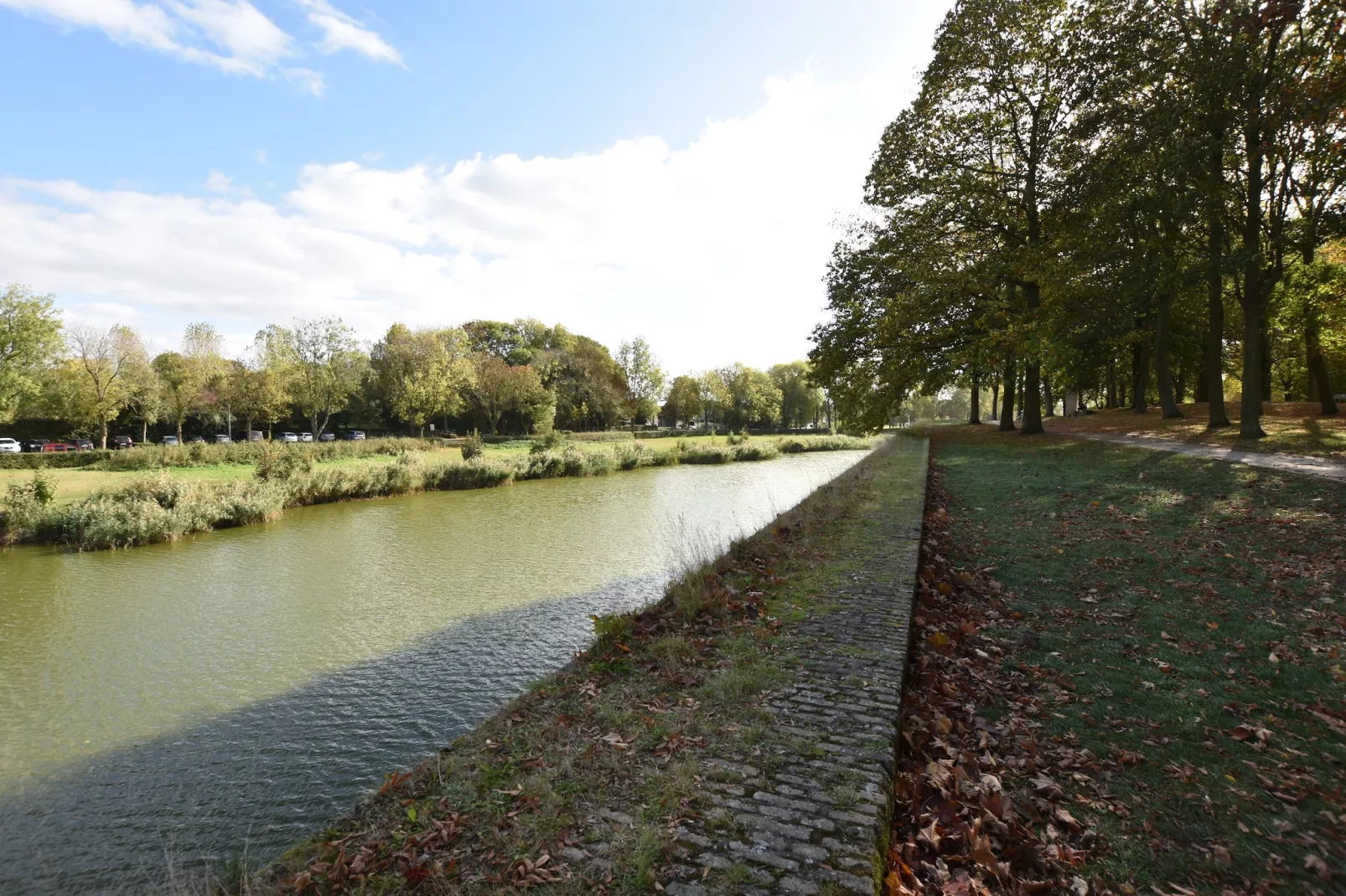 De bonte kat-Zones d'été à 1 km