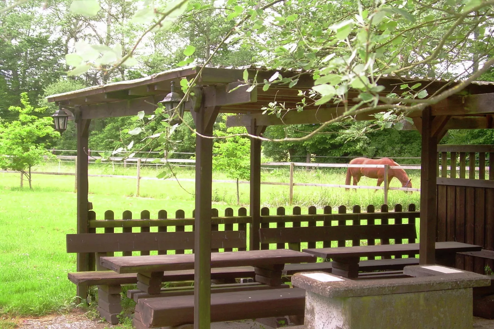Lüneburger Heide-Jardin d'été