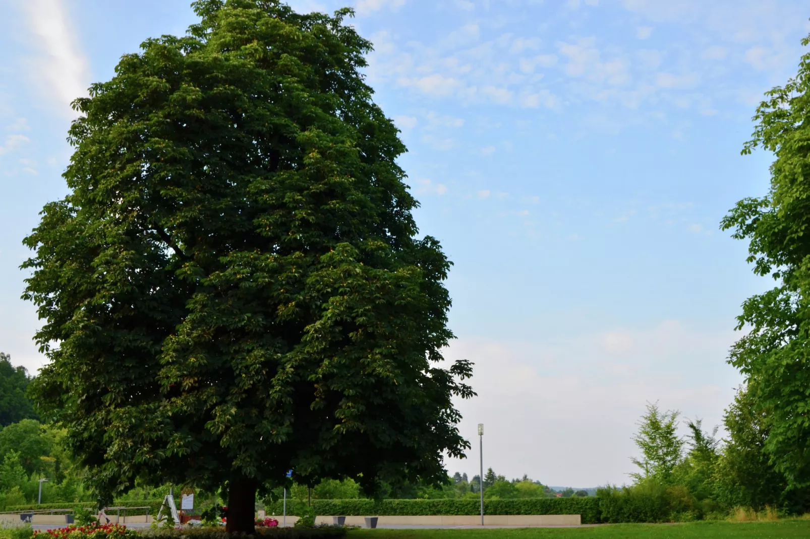 Am Ferienbauernhof - FW 6-Areas summer 20km