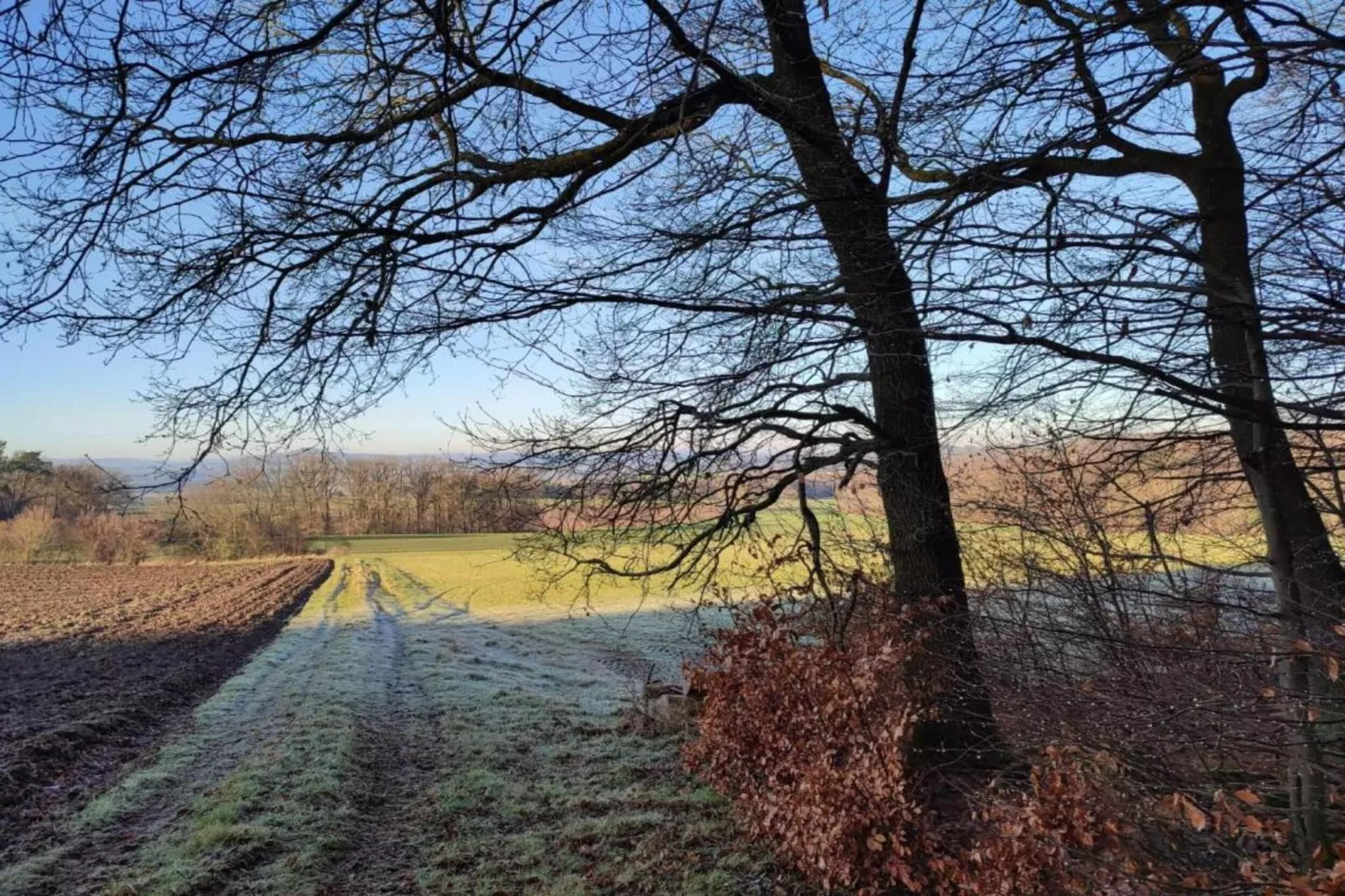 Idylle-Gebiete Sommer 20 km