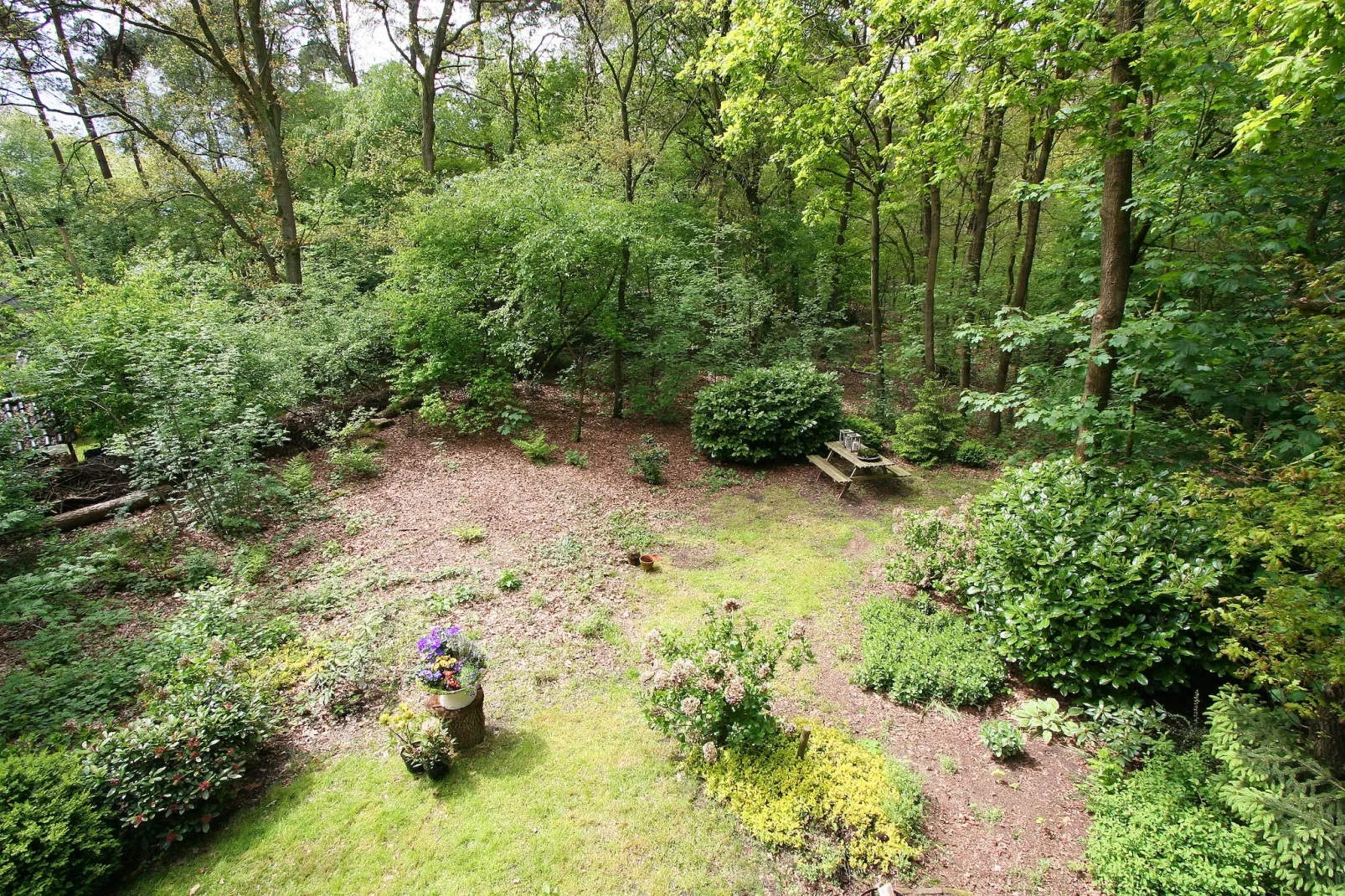 Boshuis-Gardens summer