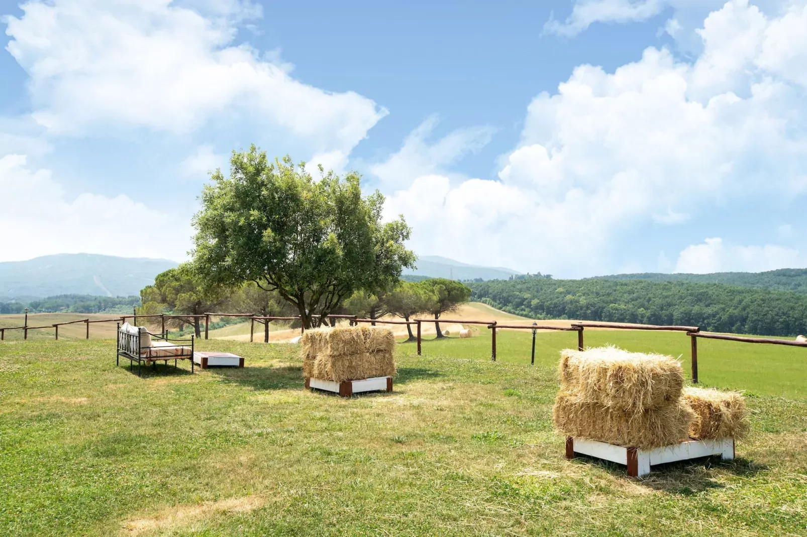 Oliveta-Garten Sommer