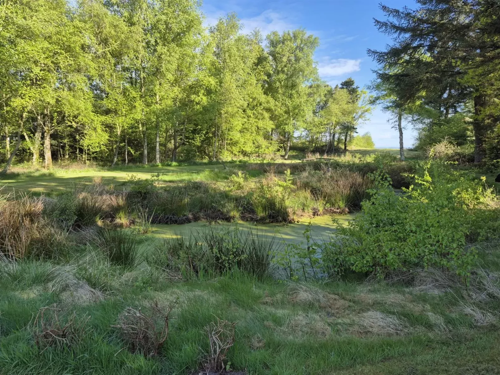 "Aswarth" - 50m to the inlet-Outside