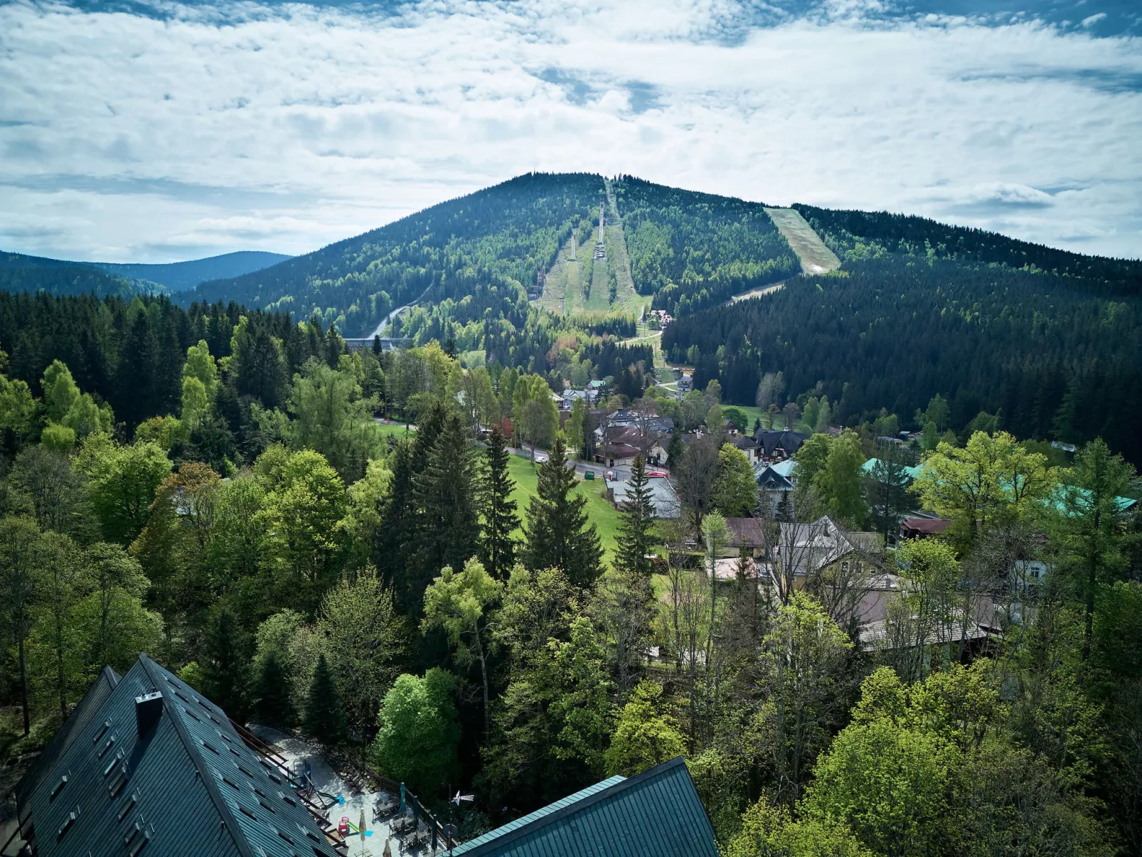 V Borovicích-Area