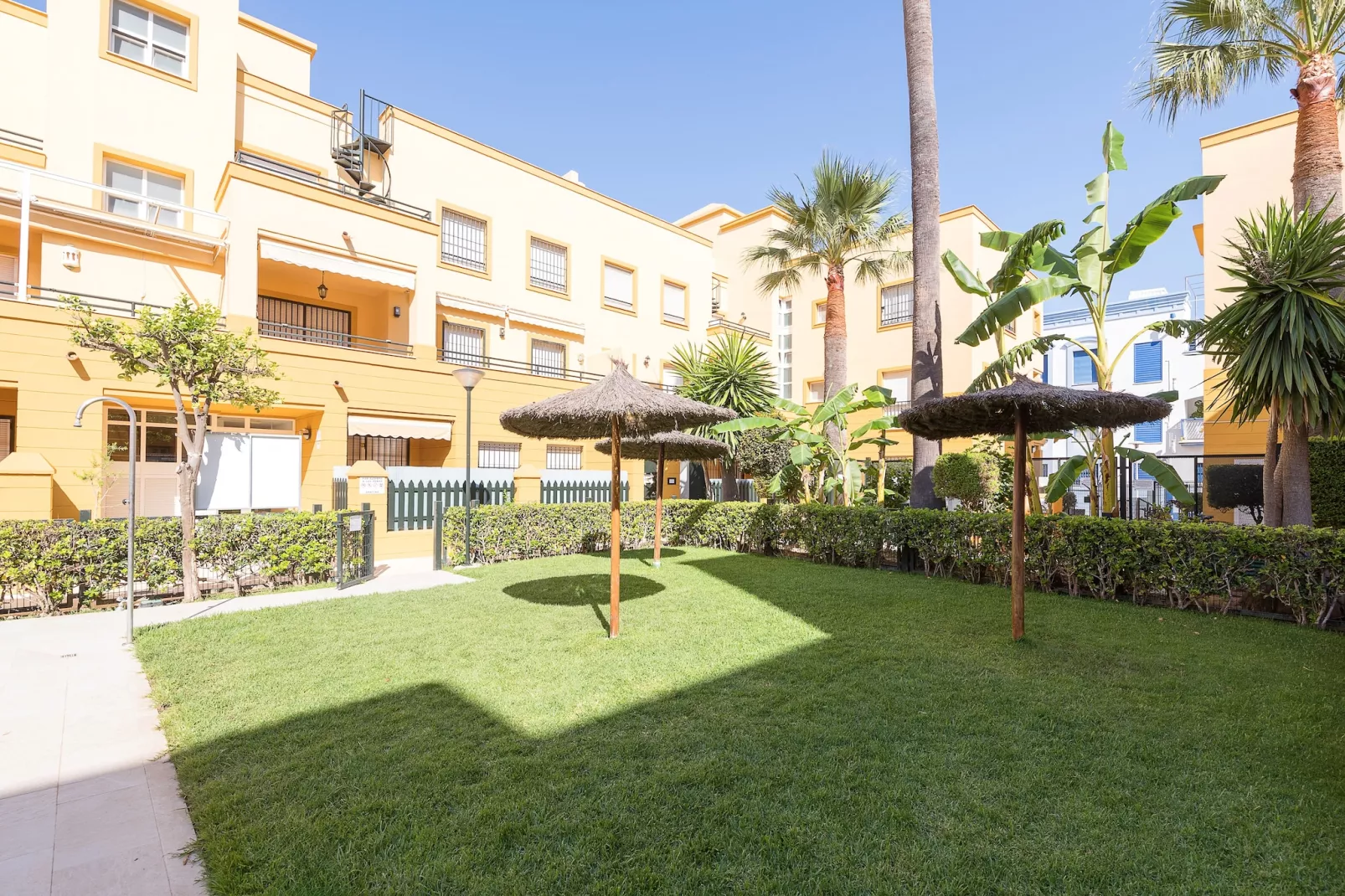 Bahia De La Luz-Gardens summer