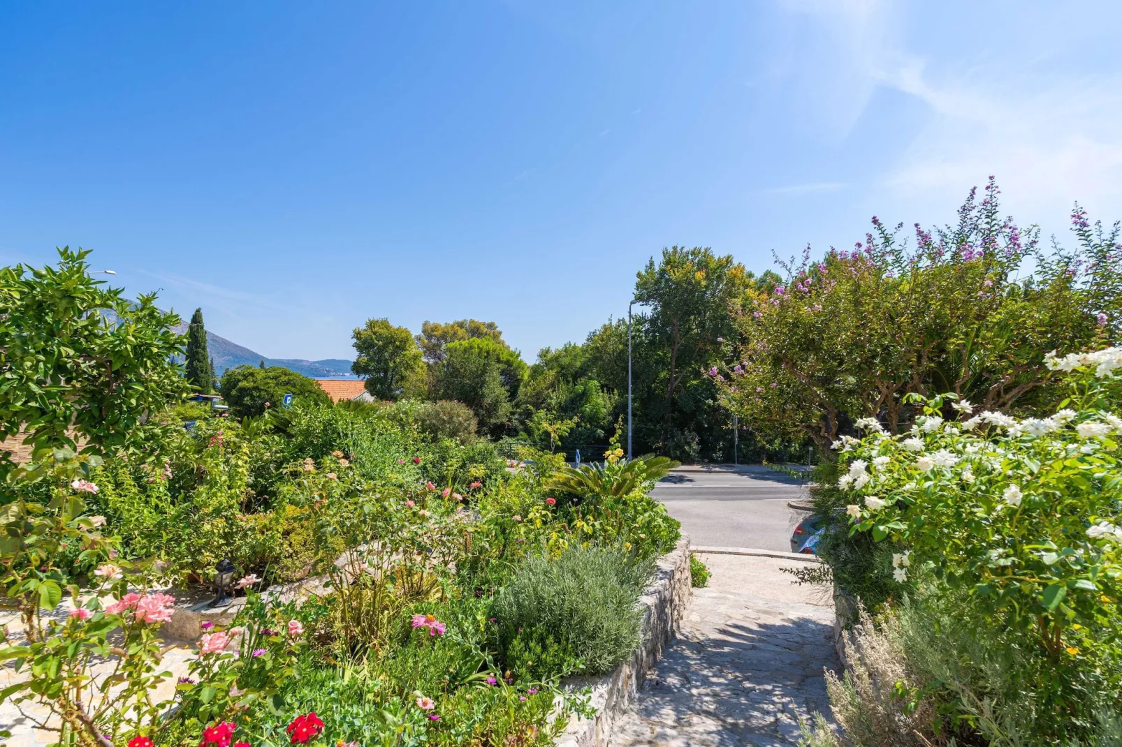 Apartments Djurkovic - One-Bedroom Apartment with Shared Terrace and Sea View-Außenbereich