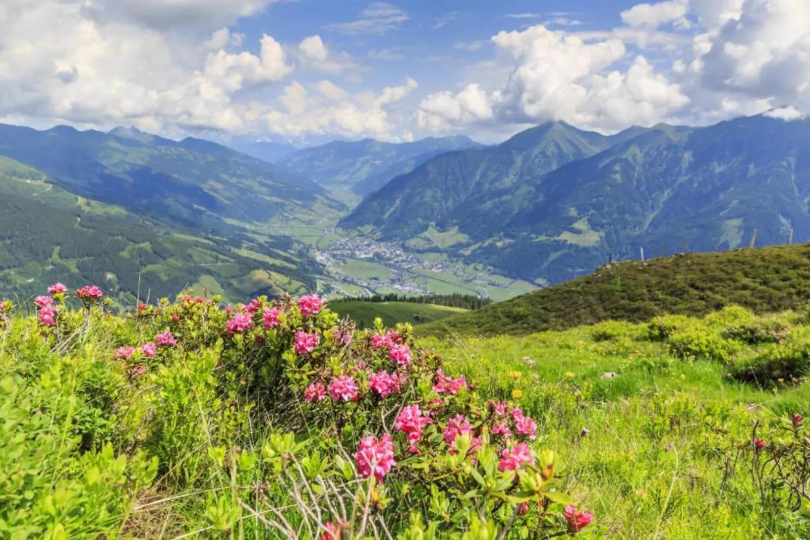 A2S Alpenhof 01-Areas summer 20km
