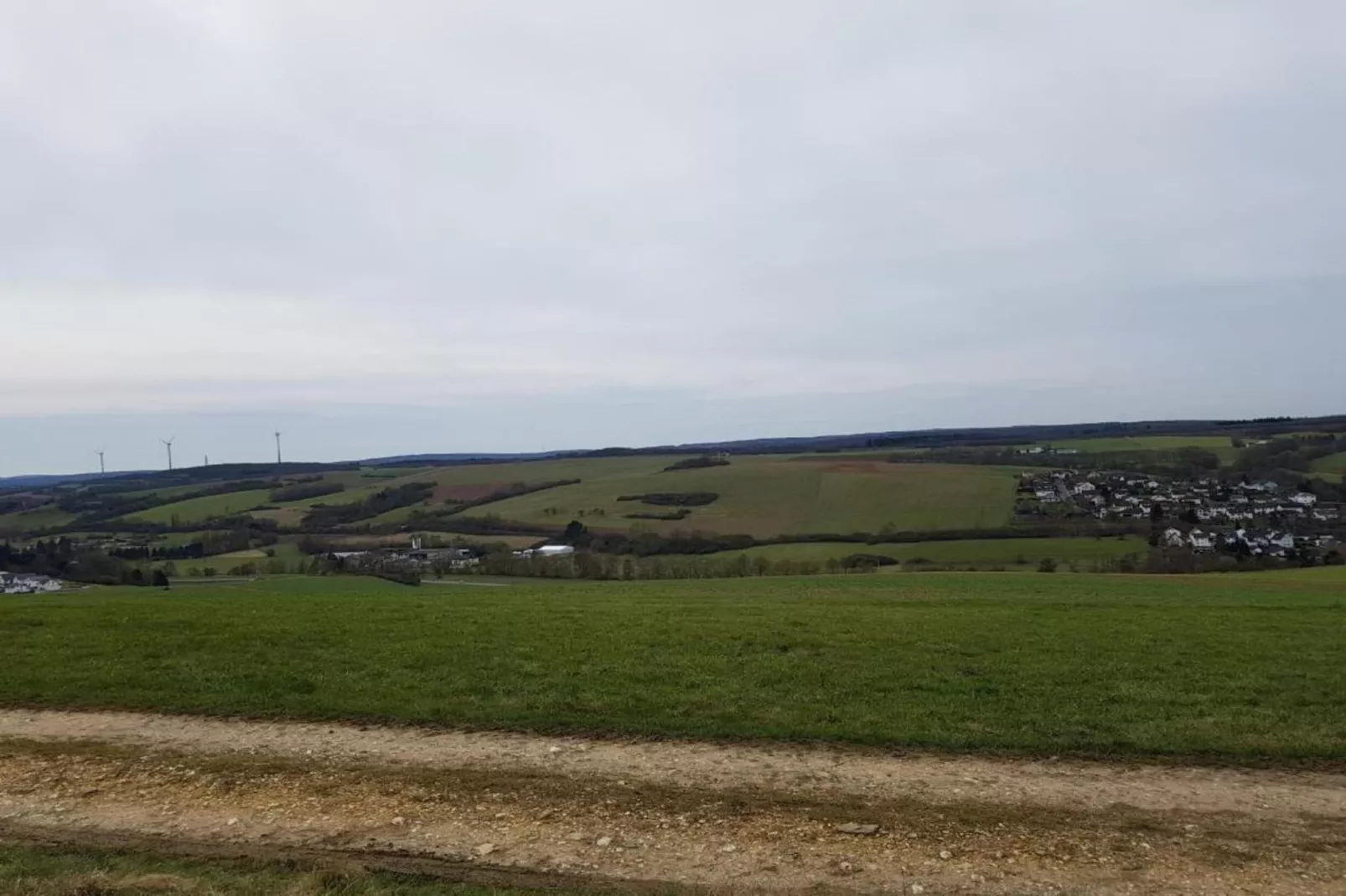 Suite im Taunus-Gebiete Sommer 20 km