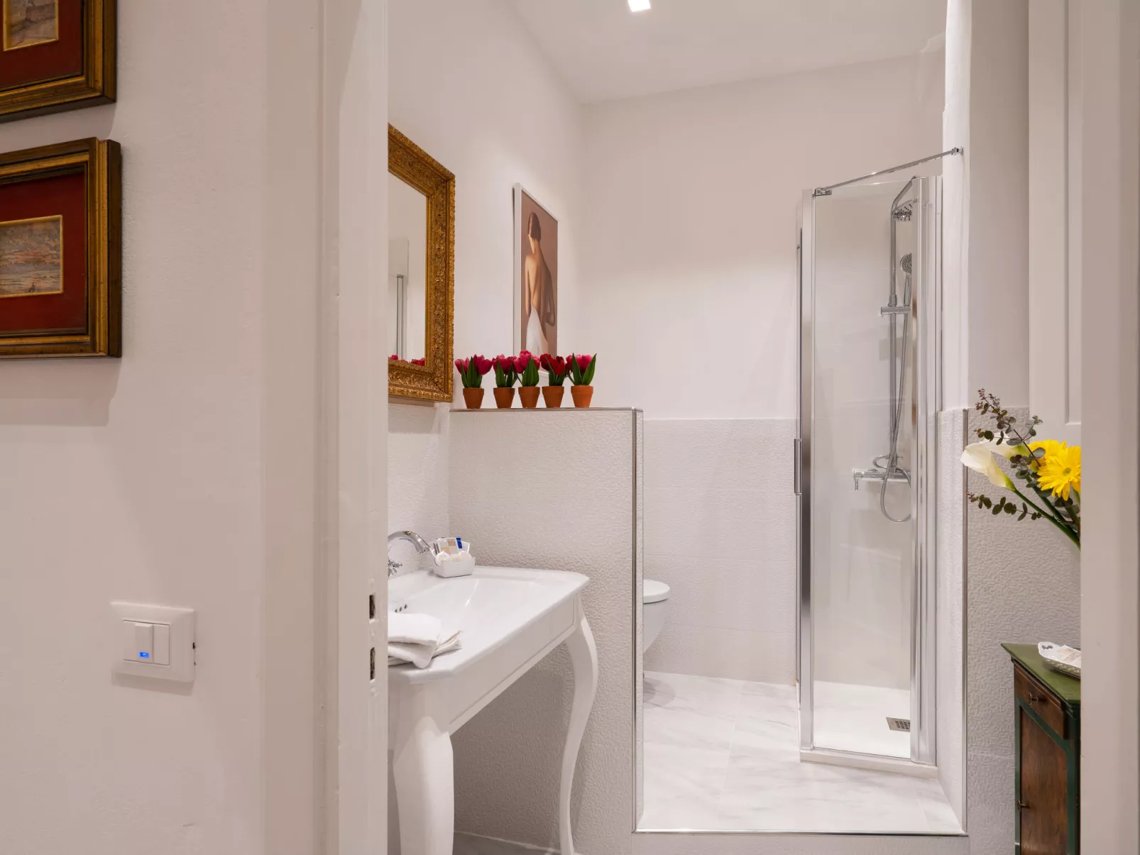 Signoria apartament