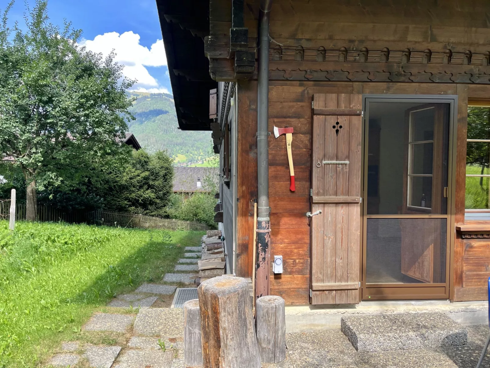 Akelei (gross)-Draußen