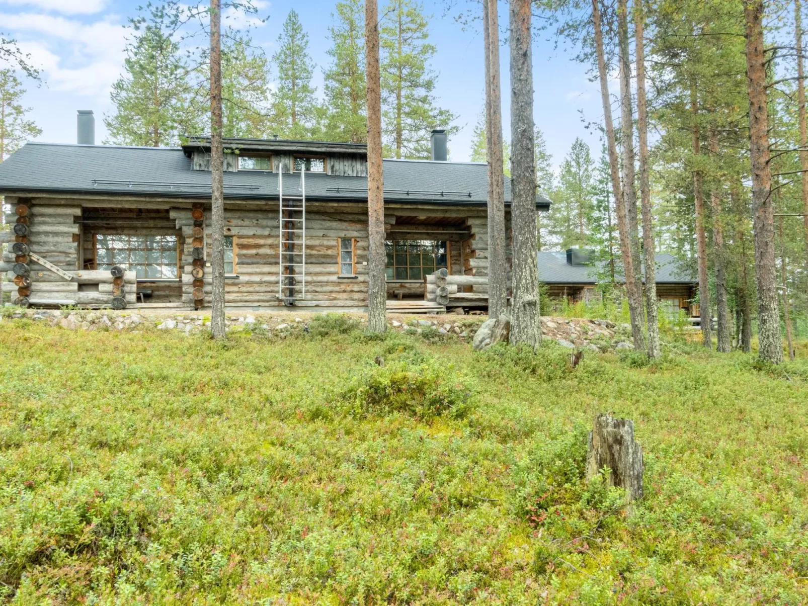 Kämmekkä b-Draußen