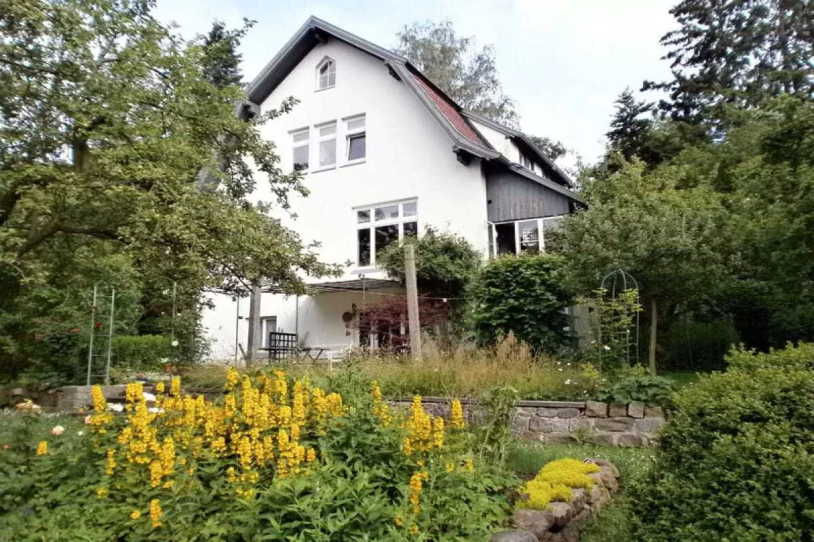 36216-Exterior summer