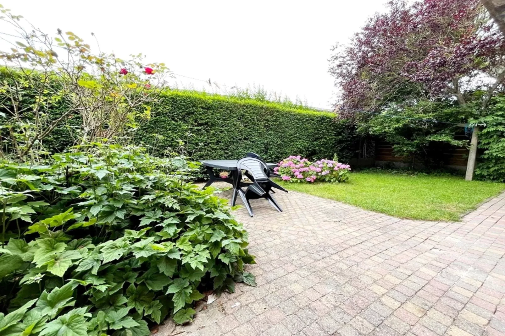 RINGLAAN 104 WONING-Gardens summer