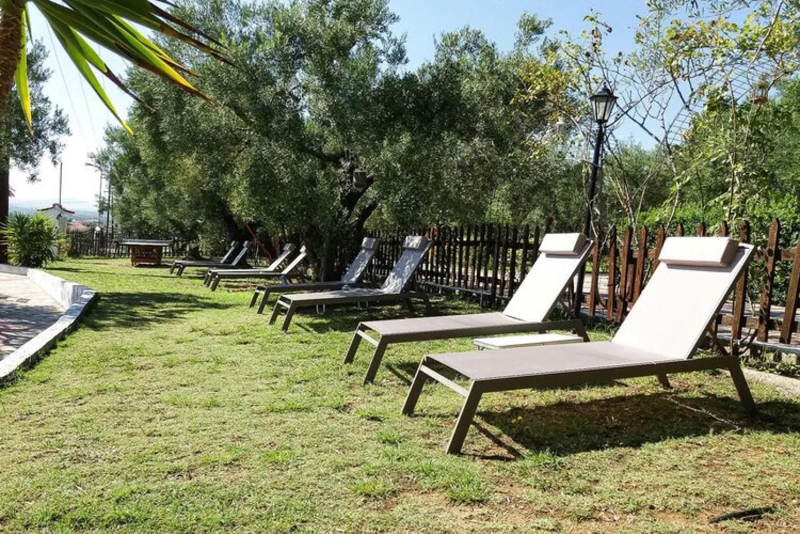 Holiday resort Asteris Village, Gerakini-Executive Apartment-Jardin d'été