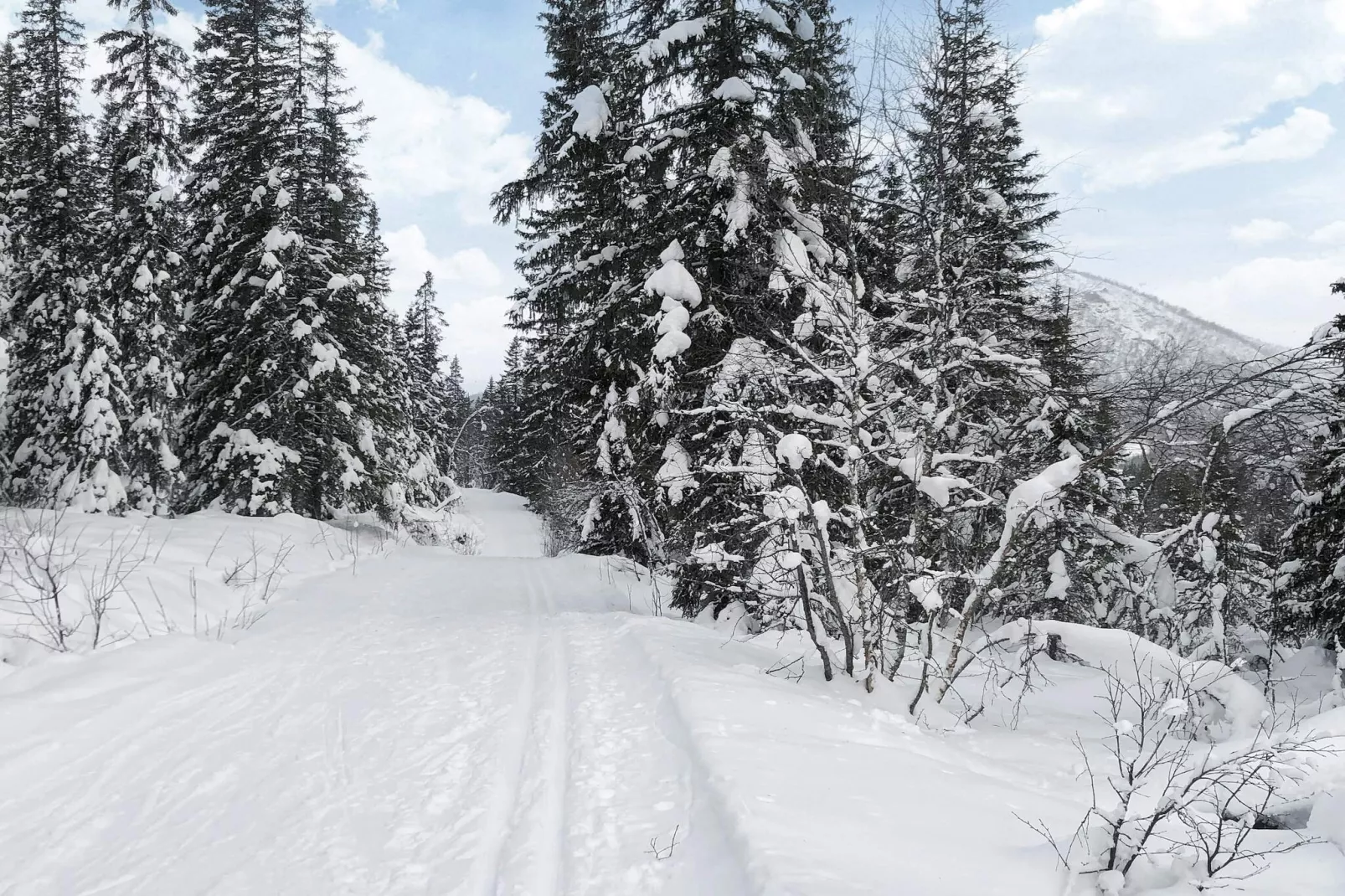 4 star holiday home in Hemsedal-Not tagged