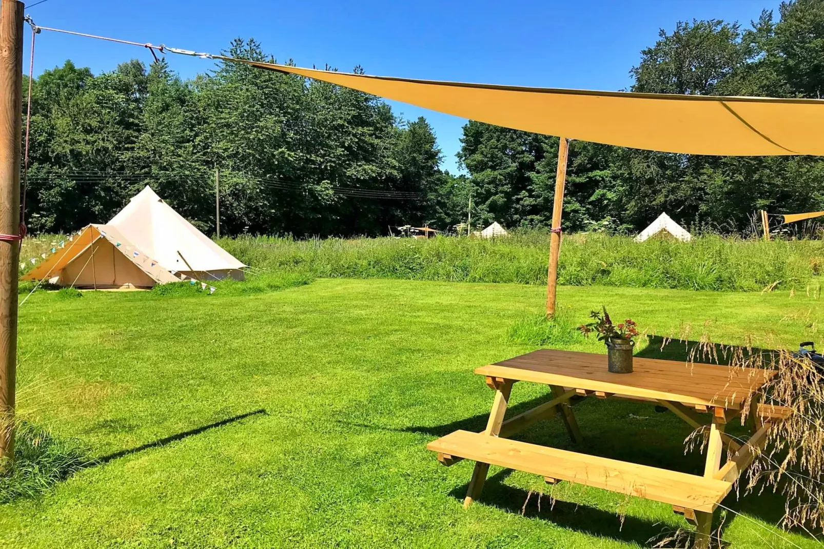 gardensummer