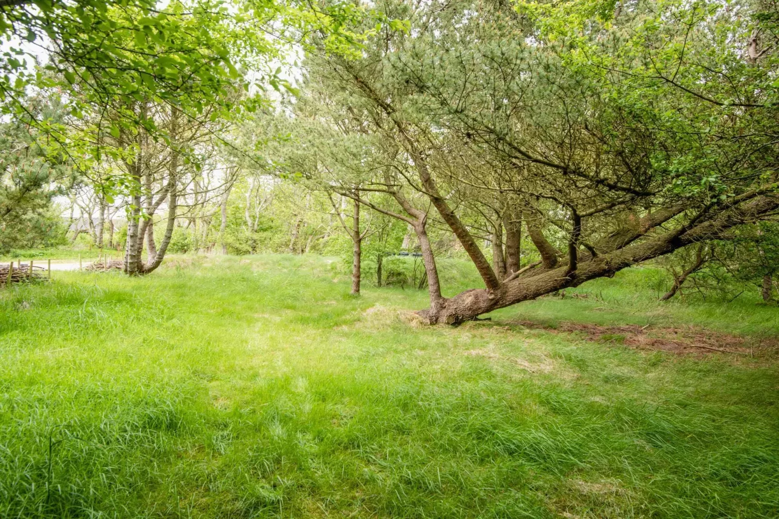 Secluded Retreat by Limfjorden - By Traum Ferienwohnungen-Outdoor
