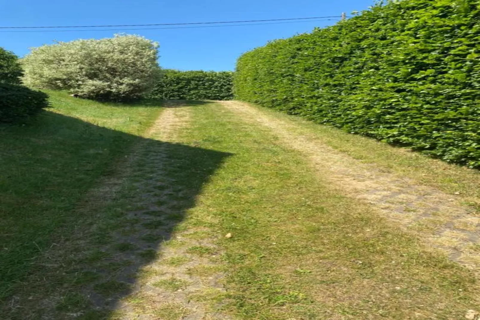Le Sanglier-Areas summer 20km