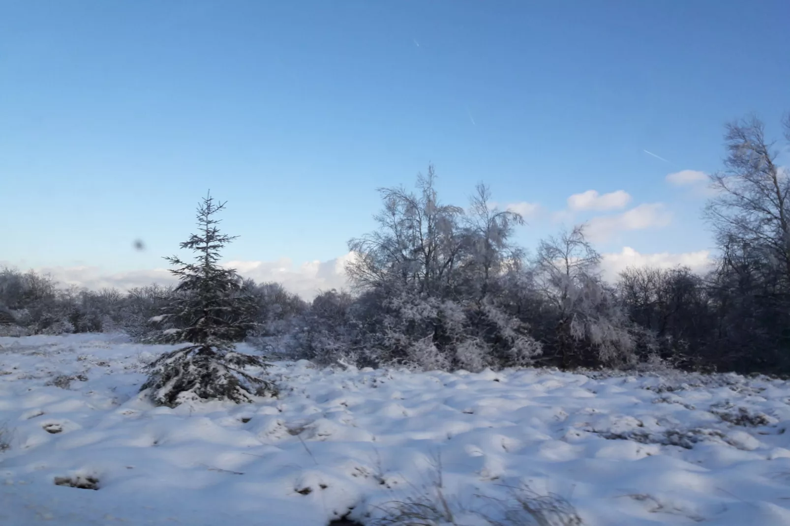Canneberge-Zone d'hiver à 20 km