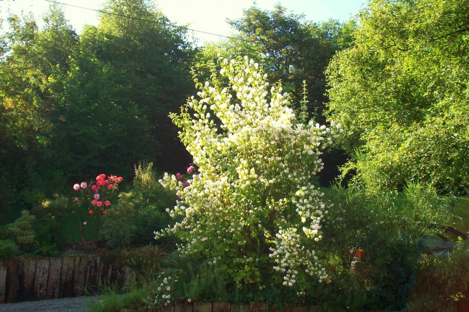 Les Muguets-Jardin d'été