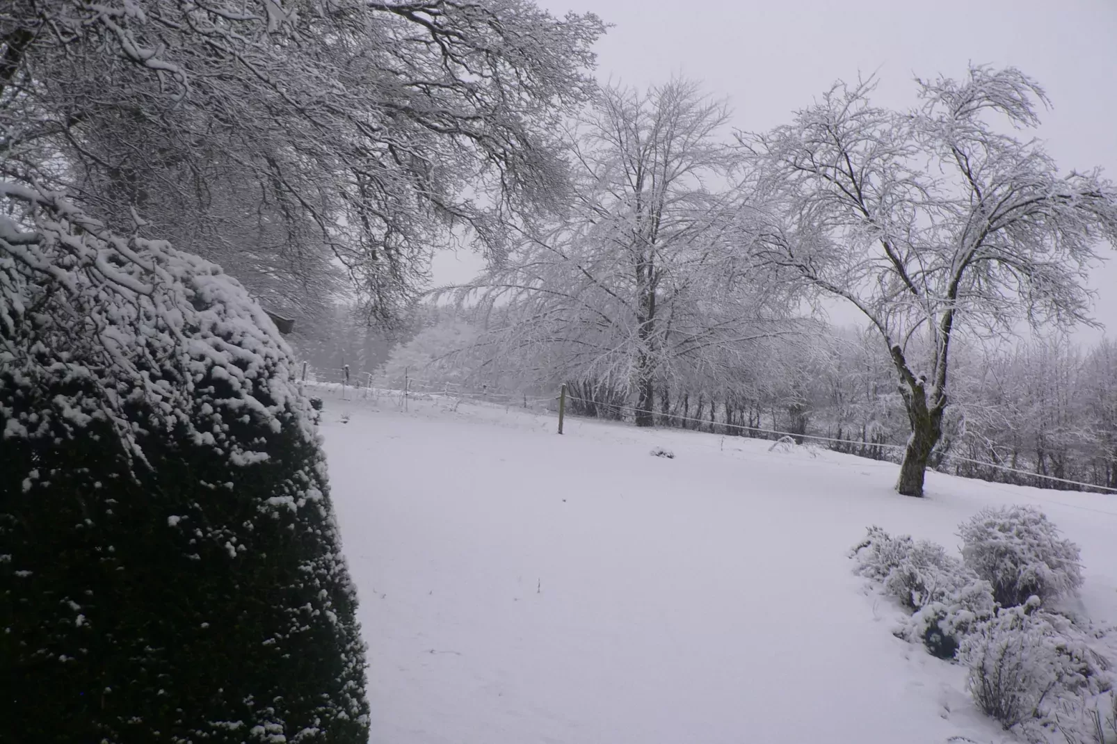La Bergerie-Jardin en hiver