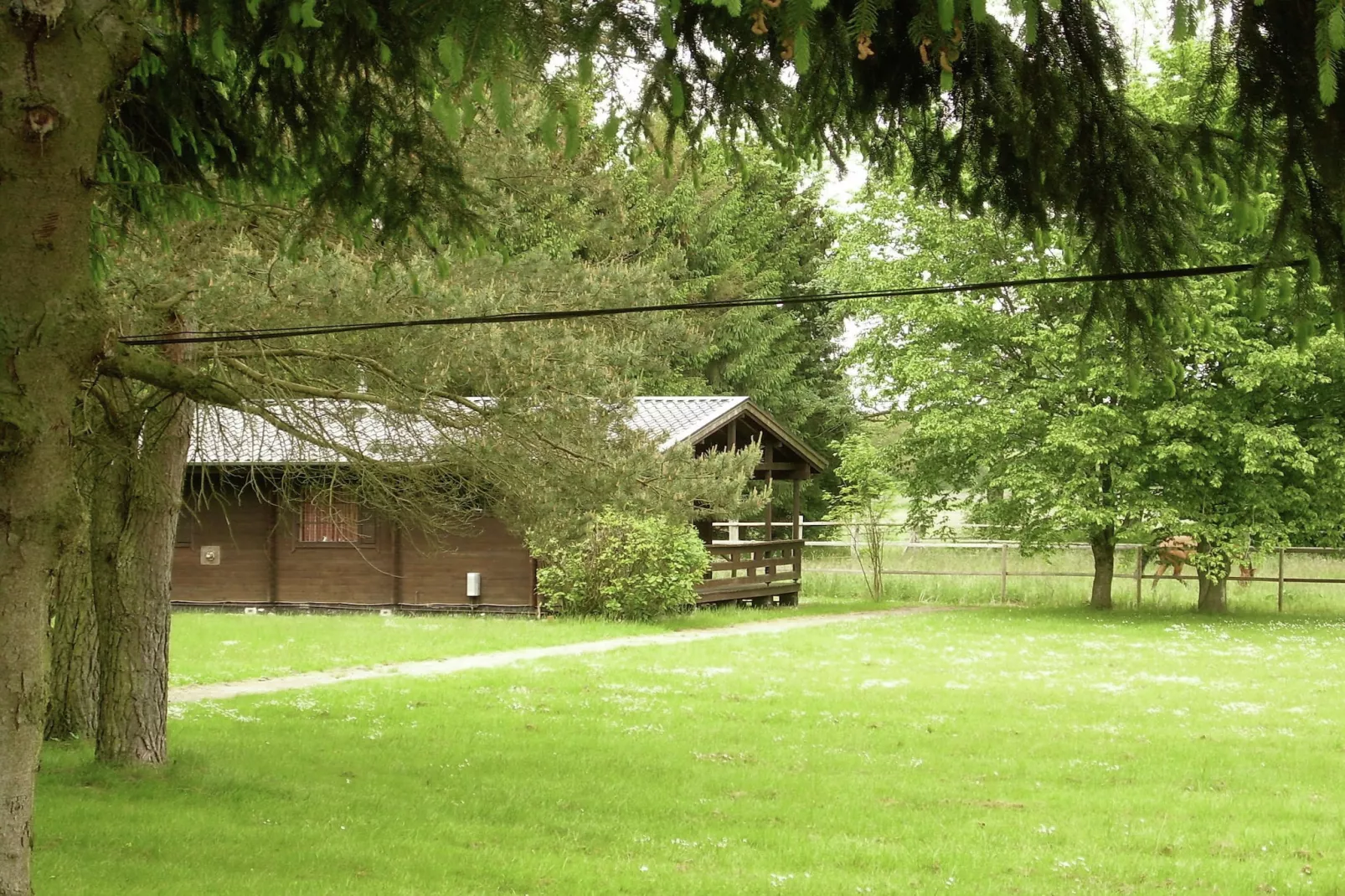 Lüneburger Heide-Jardin d'été