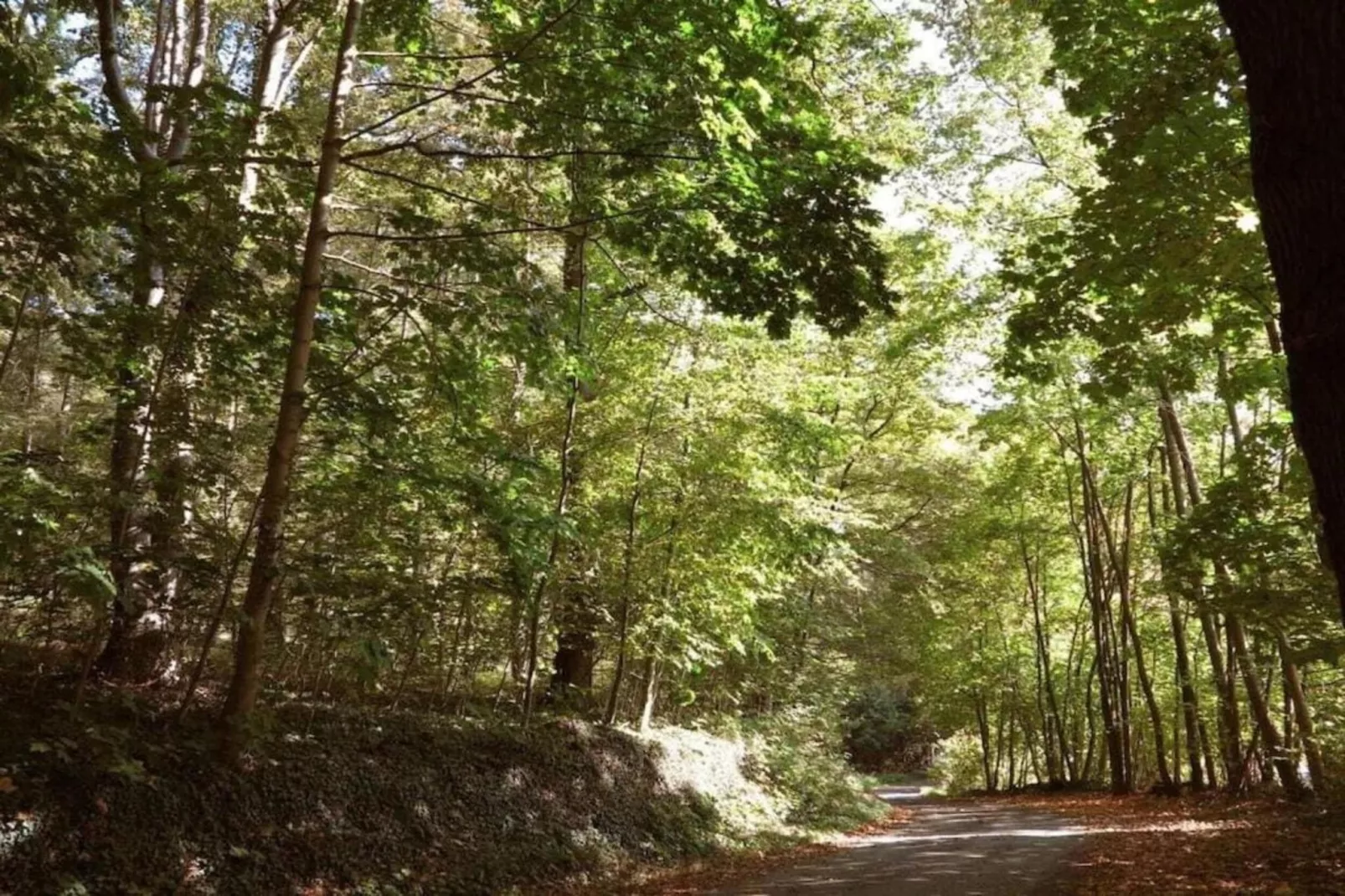 Reeenheuvel-Areas summer 20km