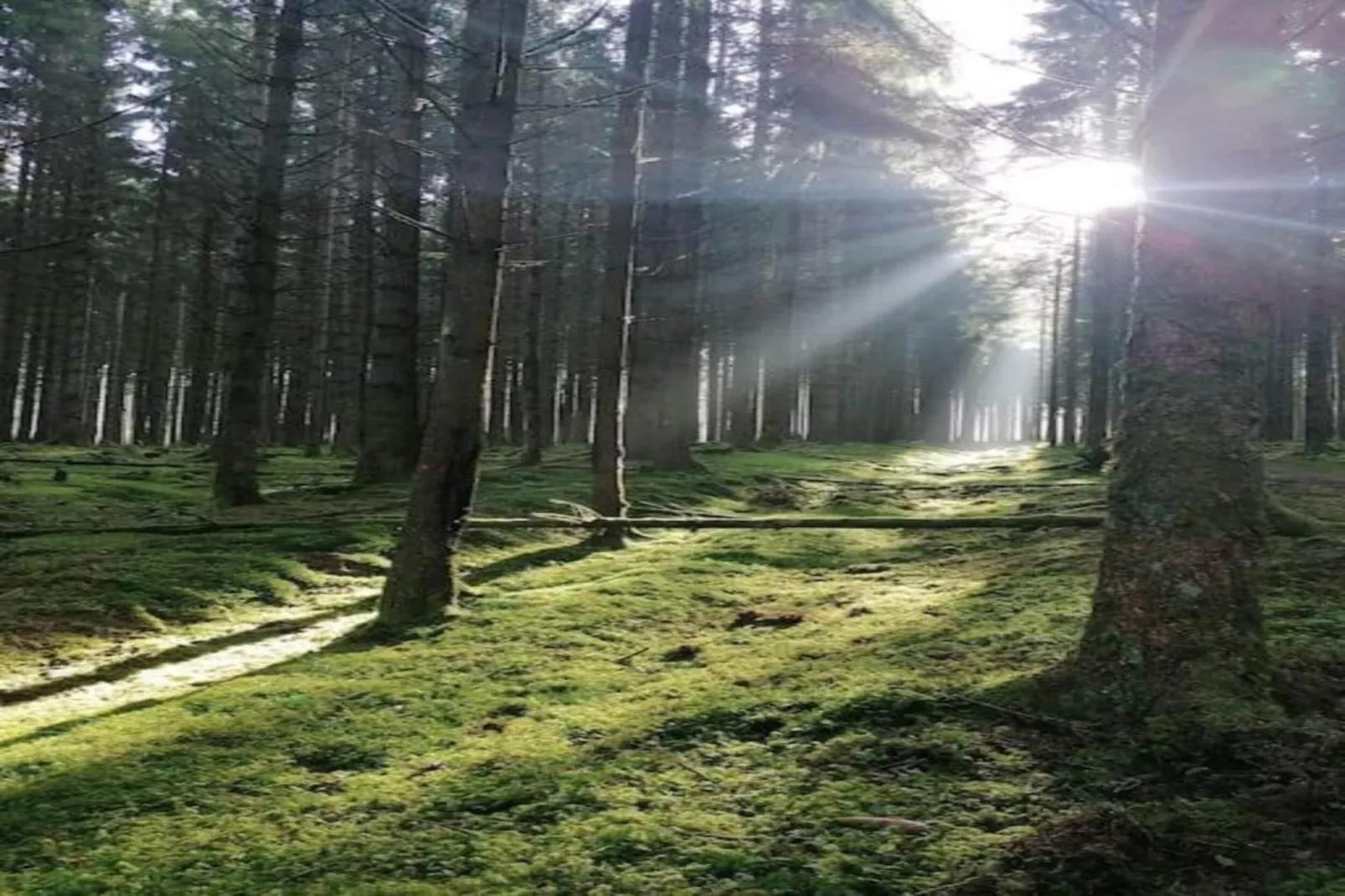 Am Iberg-Areas summer 20km
