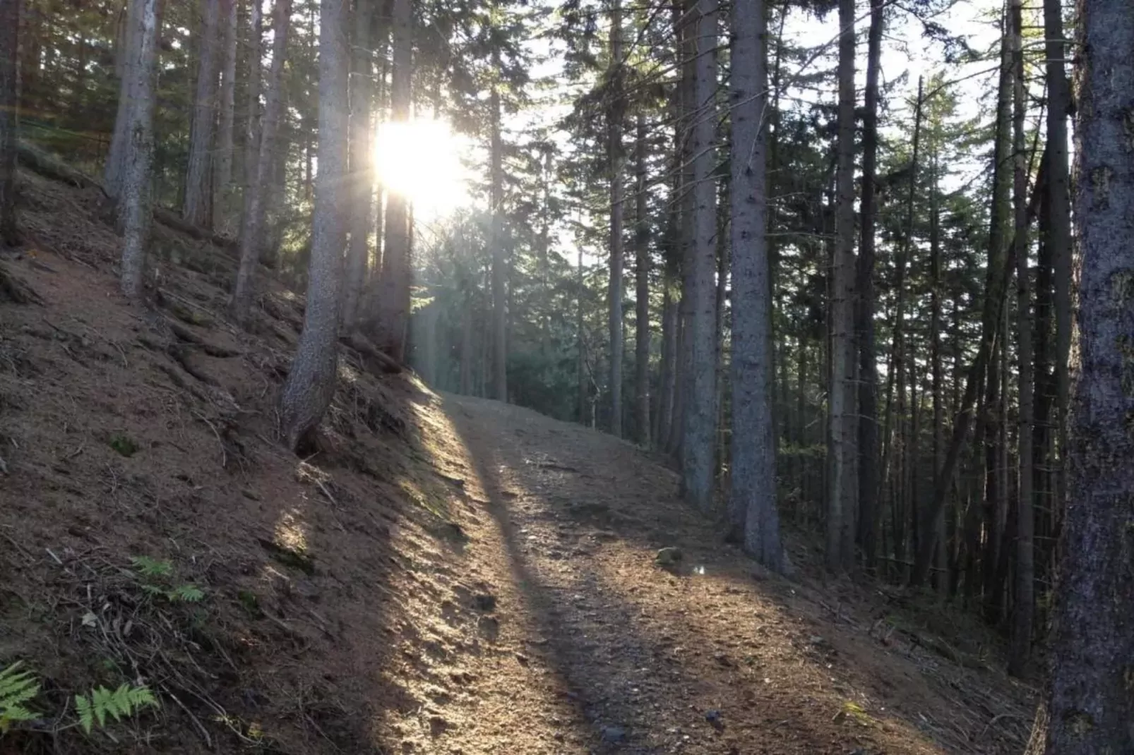 Wernigerode-Areas summer 20km