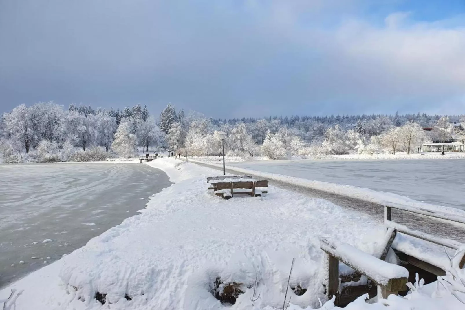 Albert-Gebiet Winter 20 km