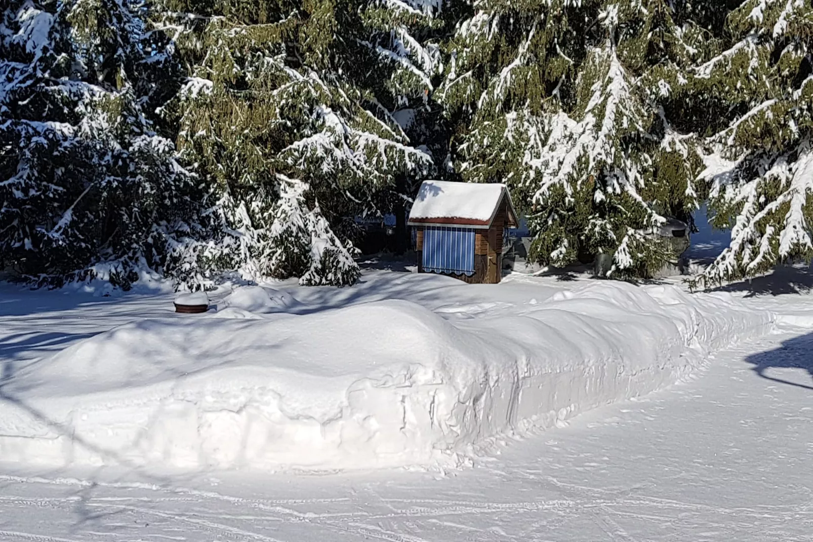Benneckenstein-Jardin d'hiver