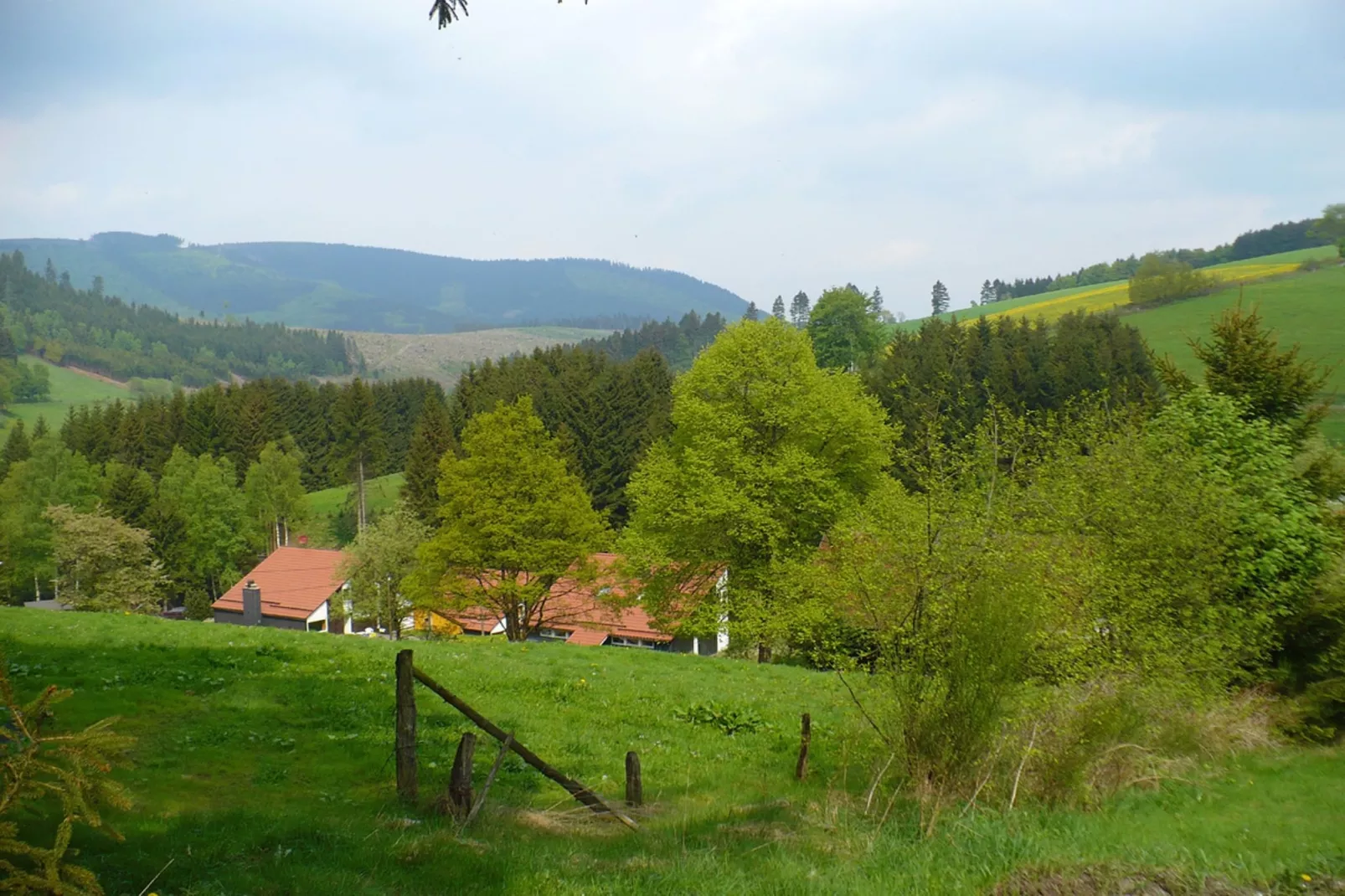Murmeltier-Gebiete Sommer 1 km