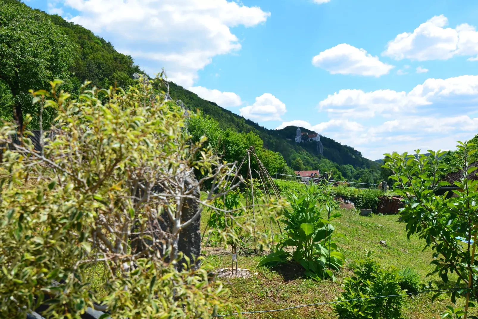 Im Altmühltal-View in summer