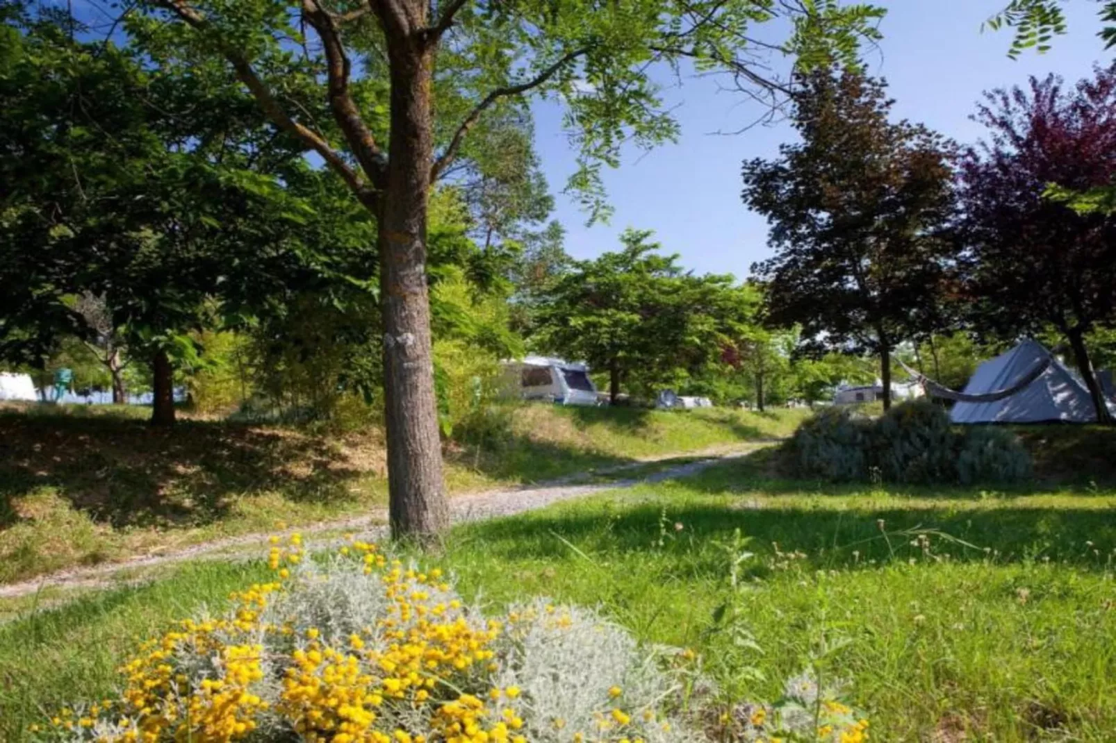 Le Clos Savornin 3-Areas summer 1km
