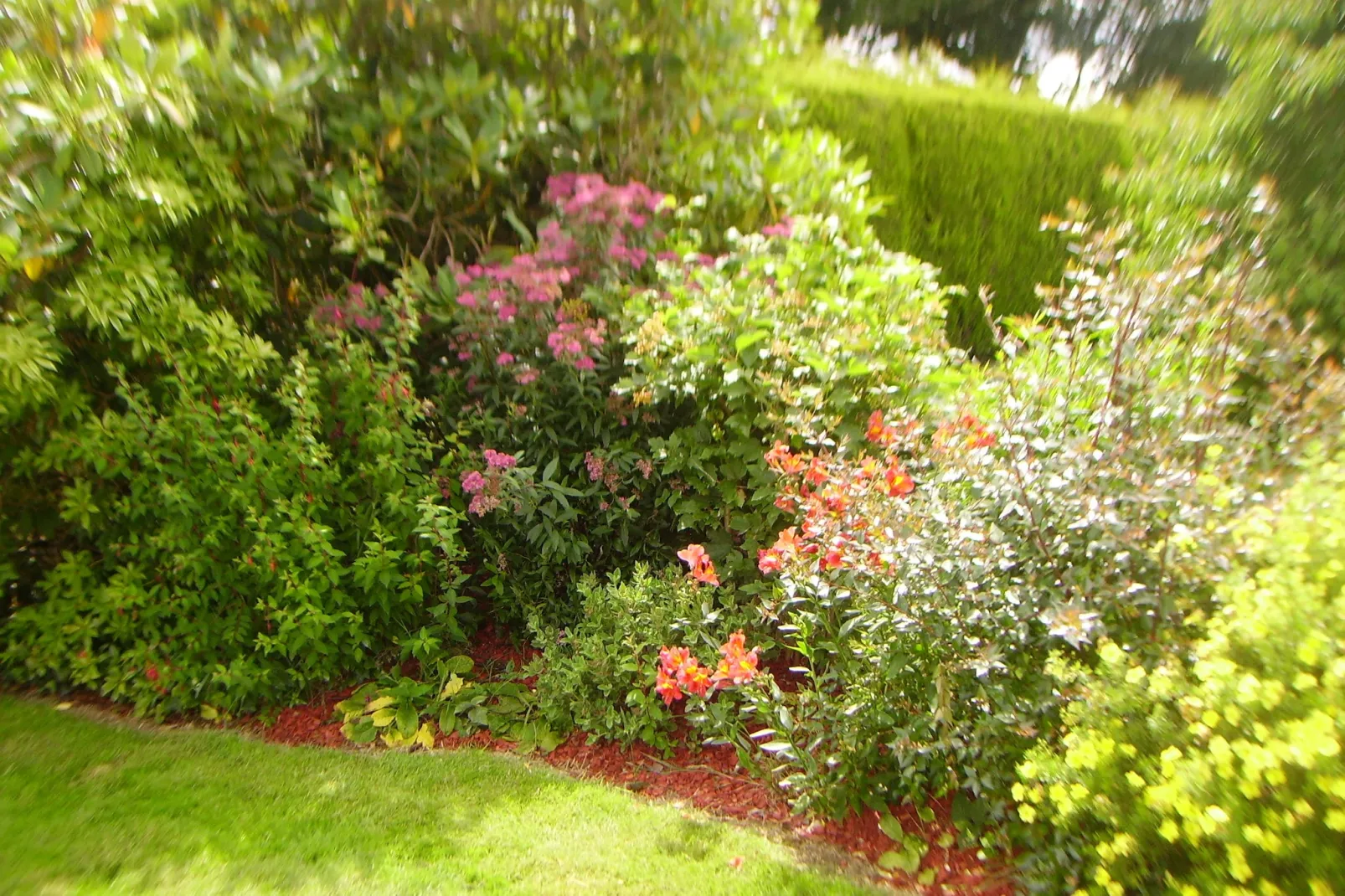 Belle maison bretonne-Jardin d'été
