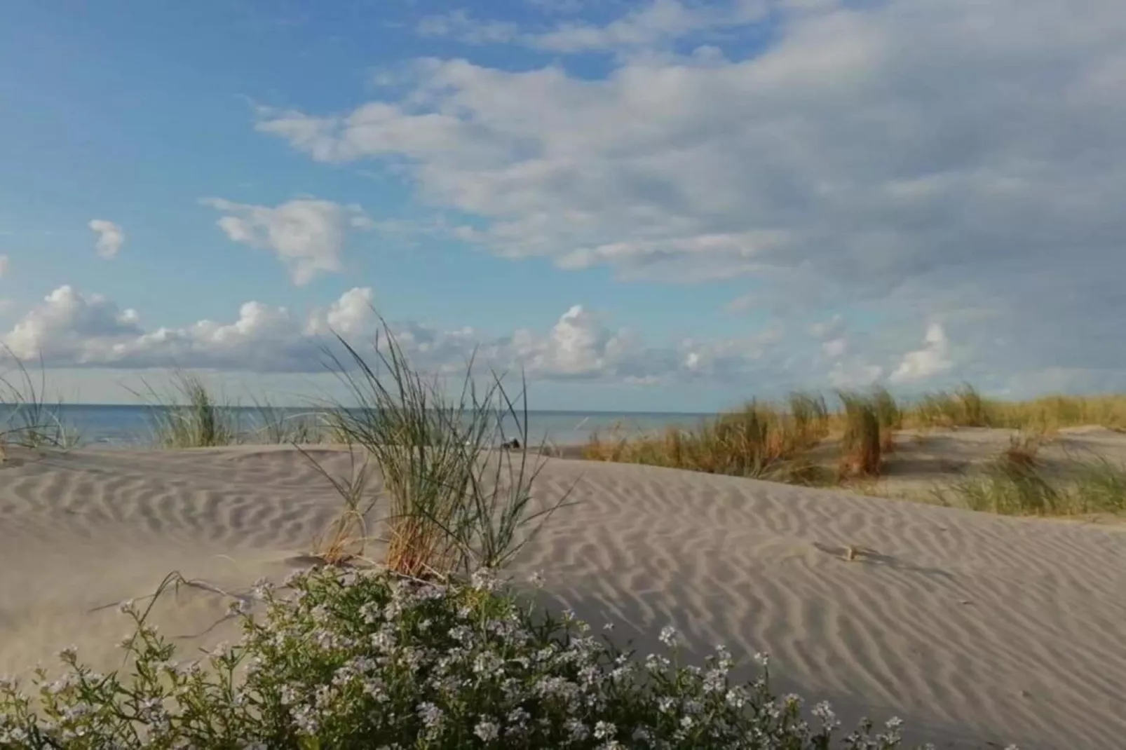 Chalet 1-Gebiete Sommer 5 km