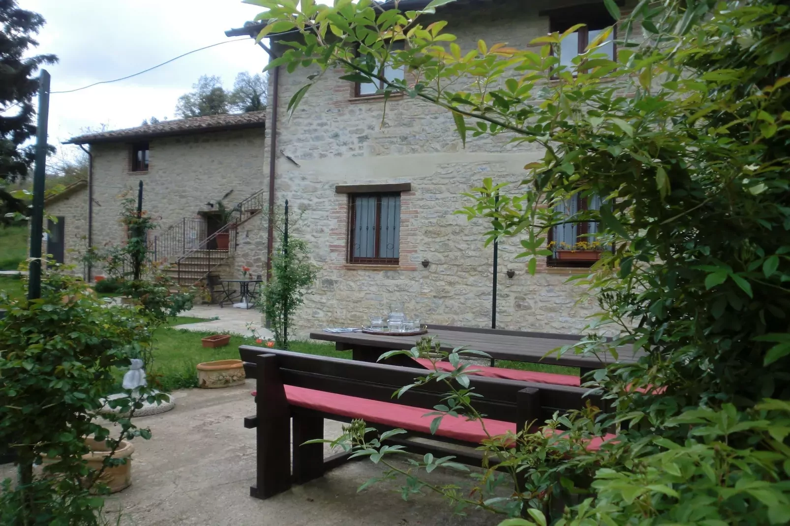 Salvia-Exterior in summer