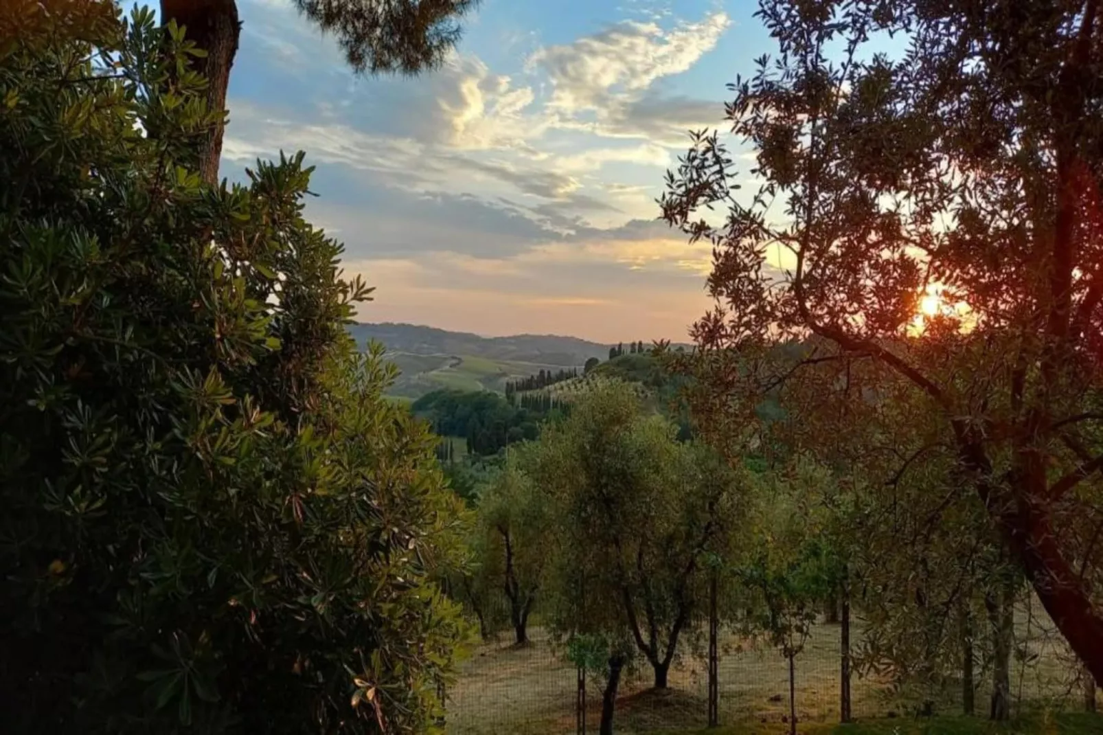 I Sodi-Areas summer 20km
