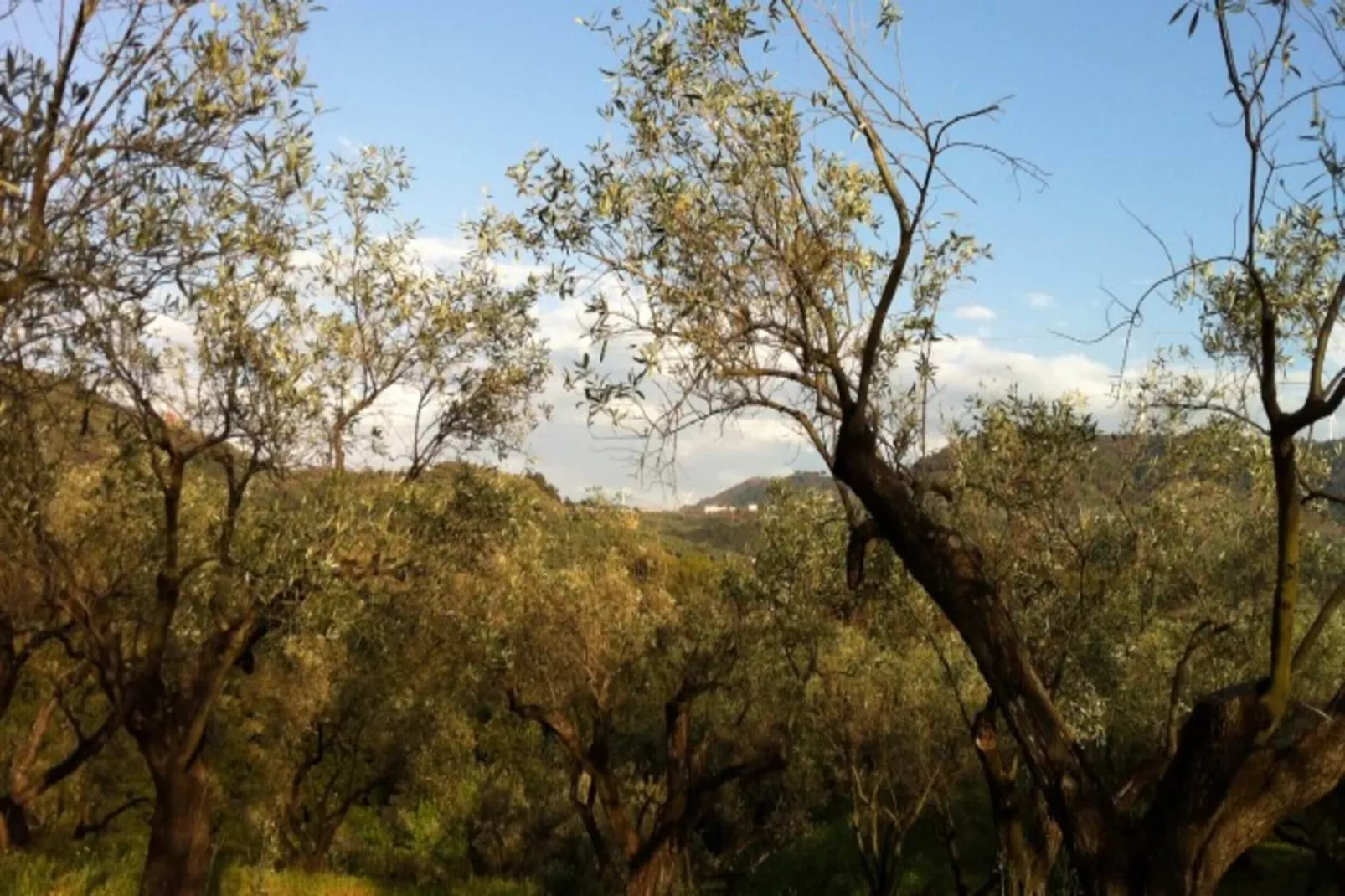 Casa Giacinto-Areas summer 20km